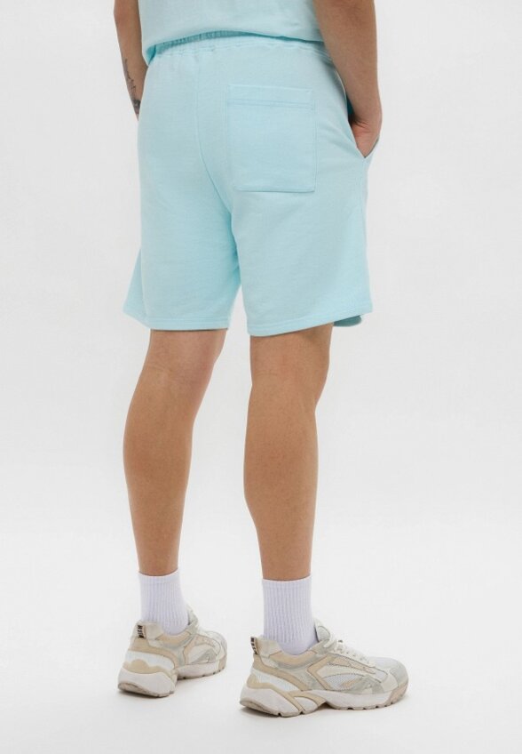 Шорты спортивные Les Benjamins