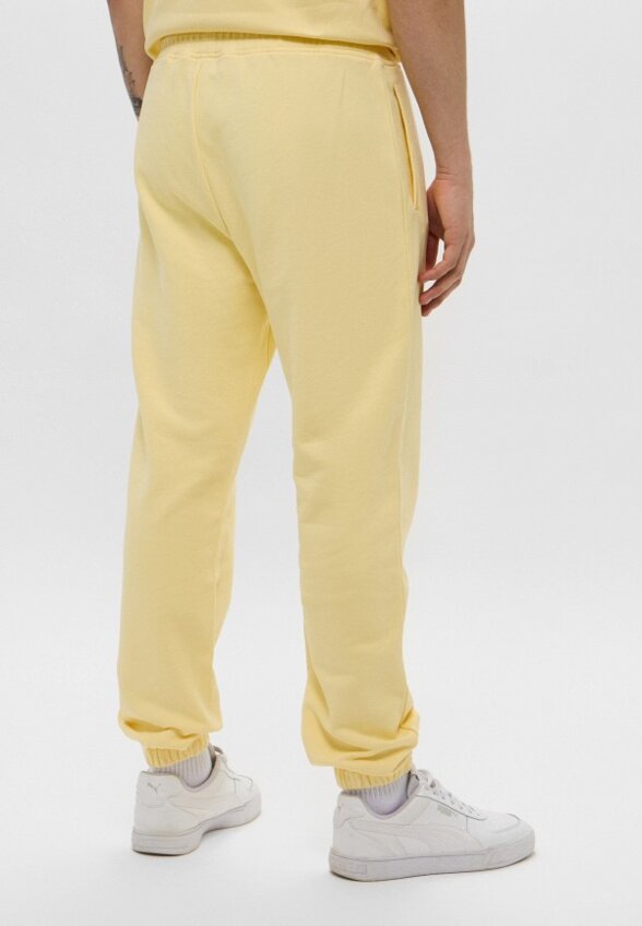 Брюки спортивные Les Benjamins