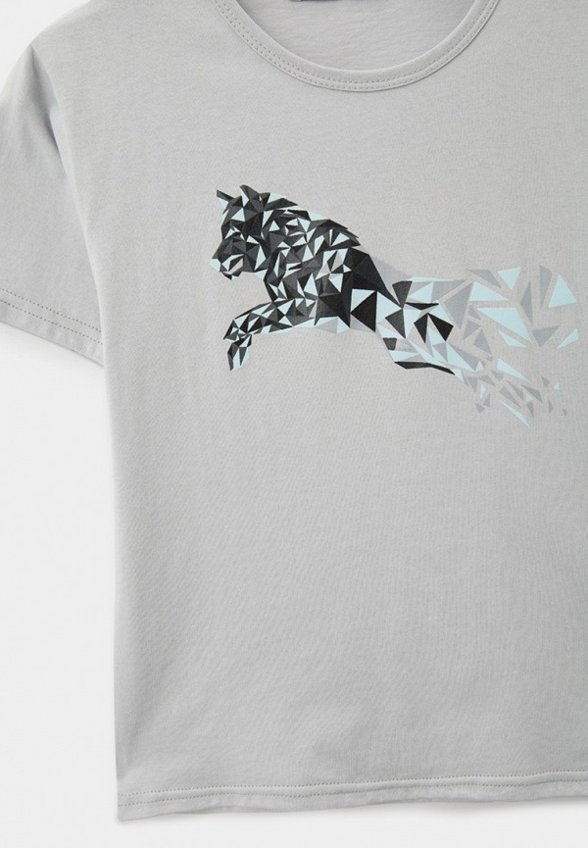 Футболка Blacksi