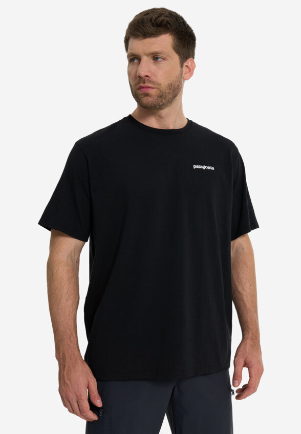 Футболка мужская Patagonia Logo, Черный