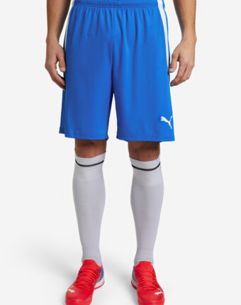 Шорты мужские PUMA teamLIGA, Синий женщинам