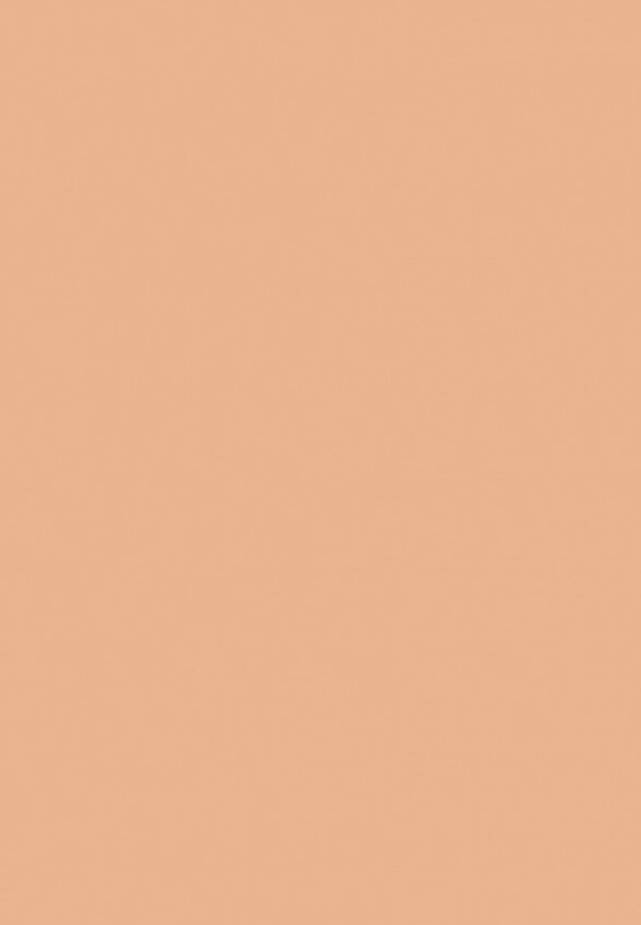 Тональная основа MAC