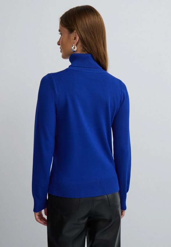 Водолазка Vittoria Vicci