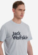 Футболка мужская Jack Wolfskin Brand, Синий1  - превью