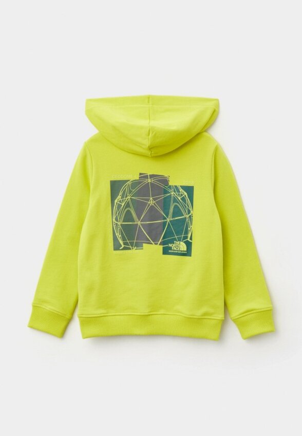 Худи The North Face