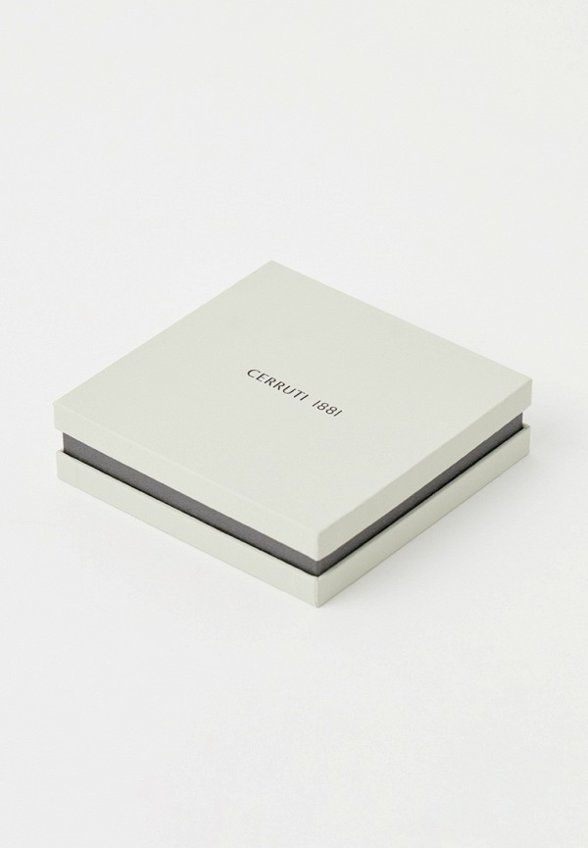 Серьги Cerruti 1881