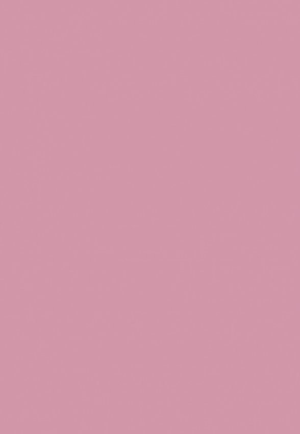 Карандаш для губ Astra