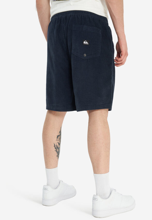 Шорты мужские Quiksilver Taxer Cord, Синий