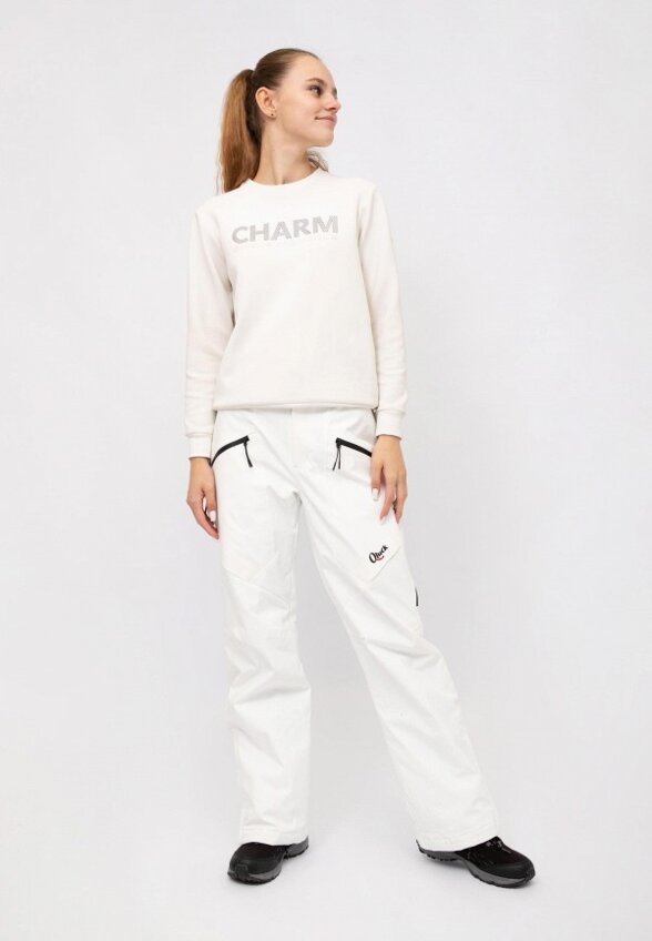 Брюки сноубордические Qluck