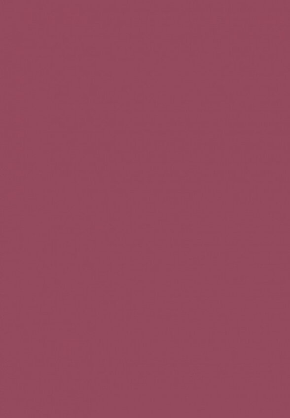 Бальзам оттеночный для губ Arive Makeup