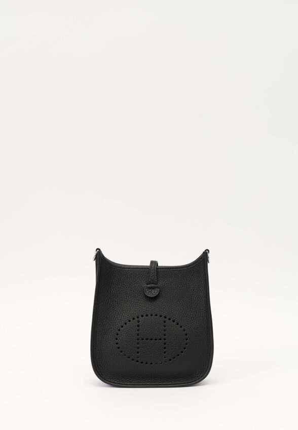Hermes Evelyne