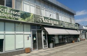Акация