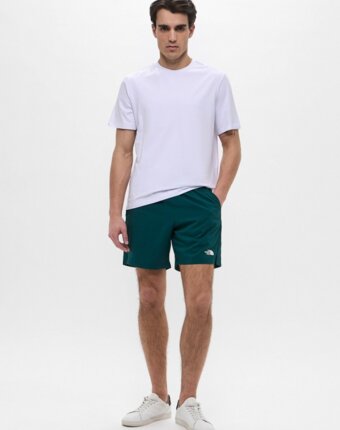 Шорты спортивные The North Face мужчинам