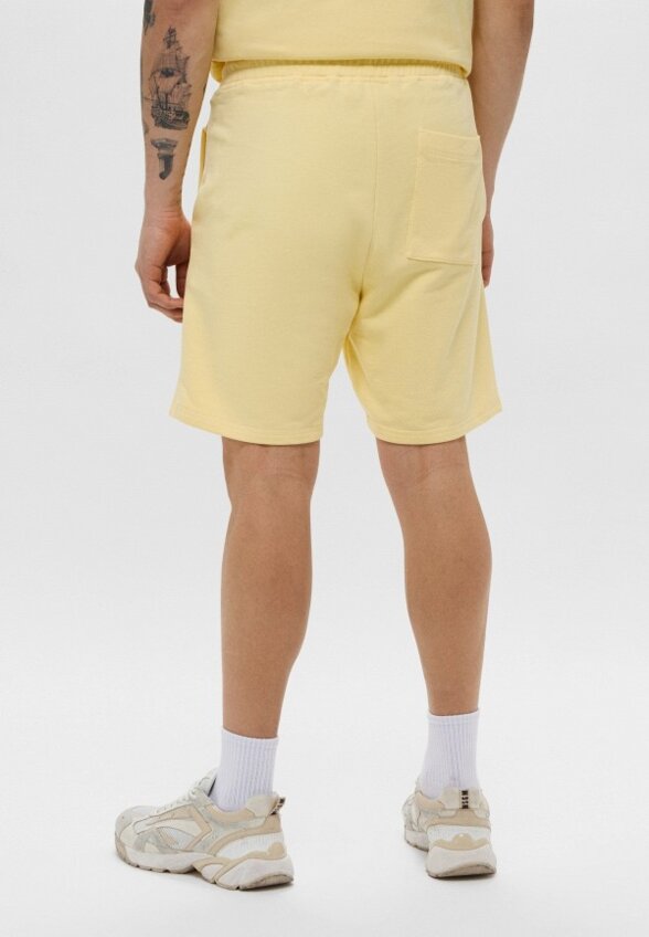 Шорты спортивные Les Benjamins