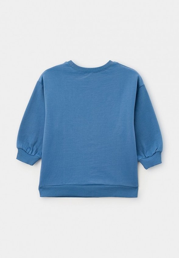 Свитшот Pelican