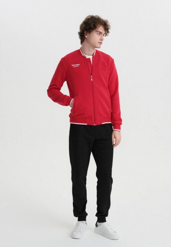 Олимпийка Zasport