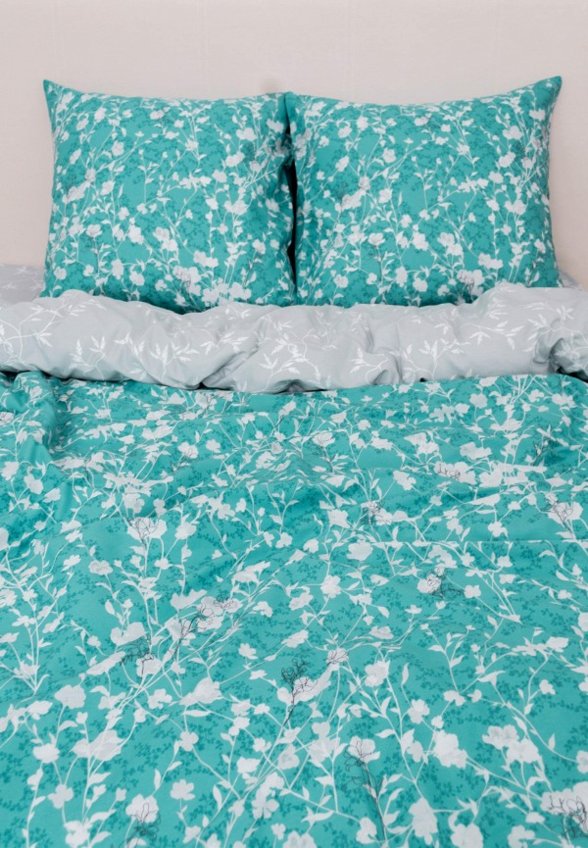 Постельное белье Евро Василиса