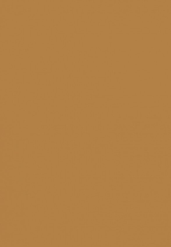 Тональный крем Arive Makeup