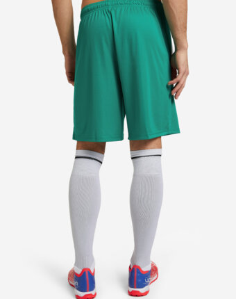 Шорты мужские PUMA teamLIGA, Зеленый женщинам