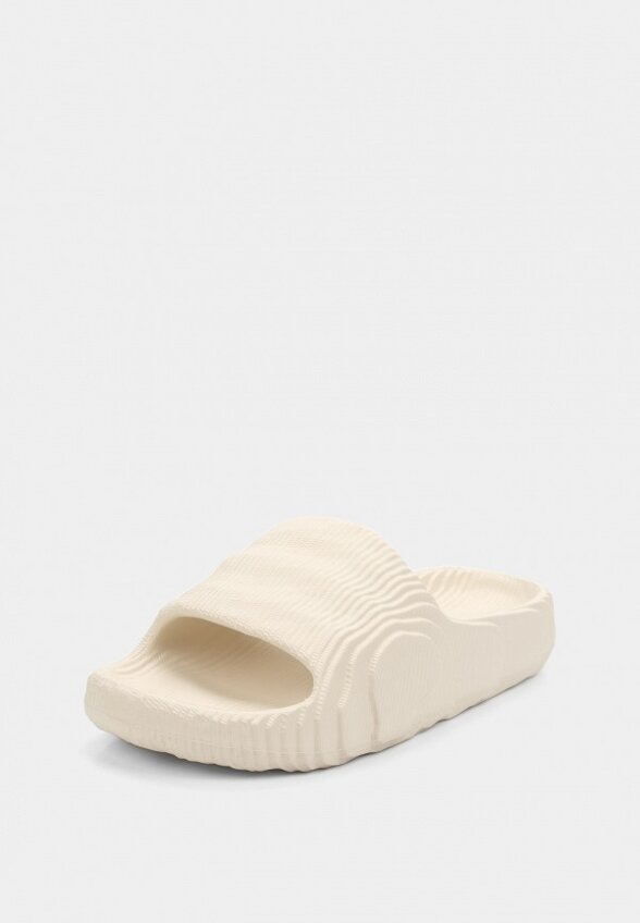 Сланцы Indefini