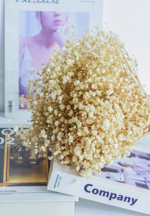 Растение искусственное Mandarin Decor