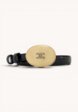 Celine Belt1  - превью
