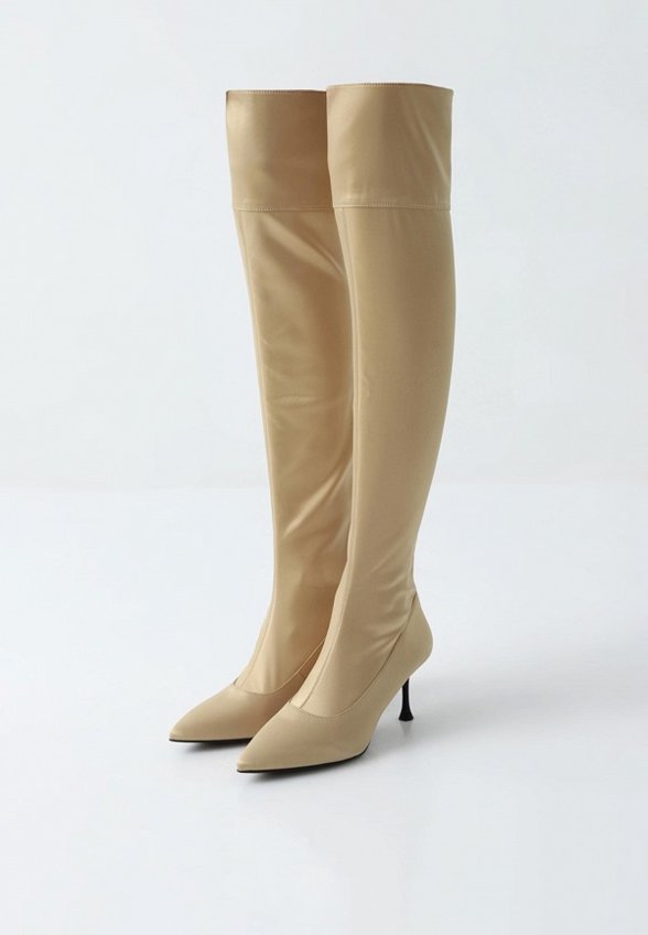 Ботфорты Passegiata