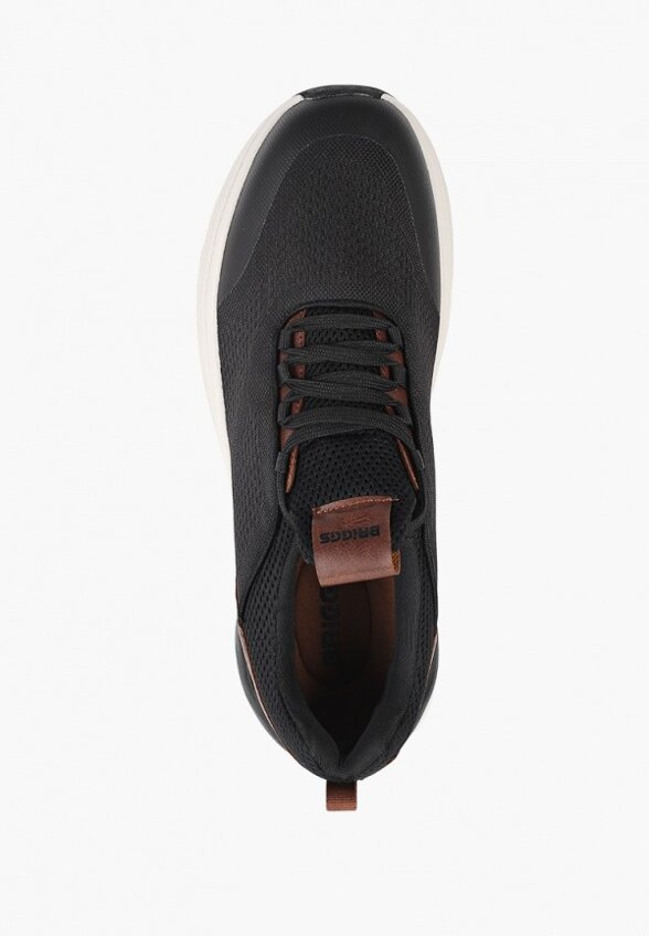 Кроссовки Briggs