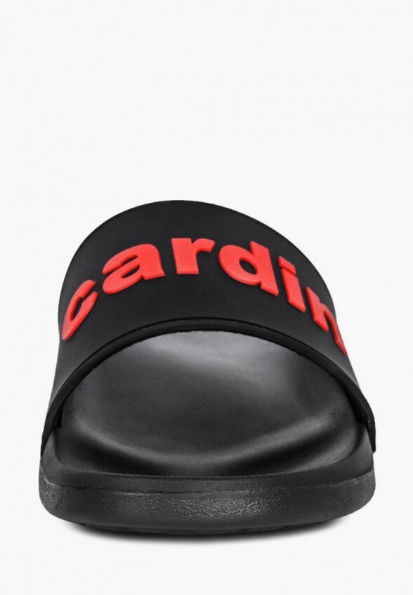 Сланцы Pierre Cardin