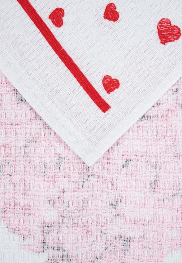 Набор полотенец кухонных Wellness