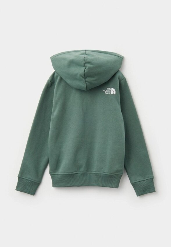 Худи The North Face