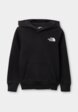 Худи The North Face1  - превью