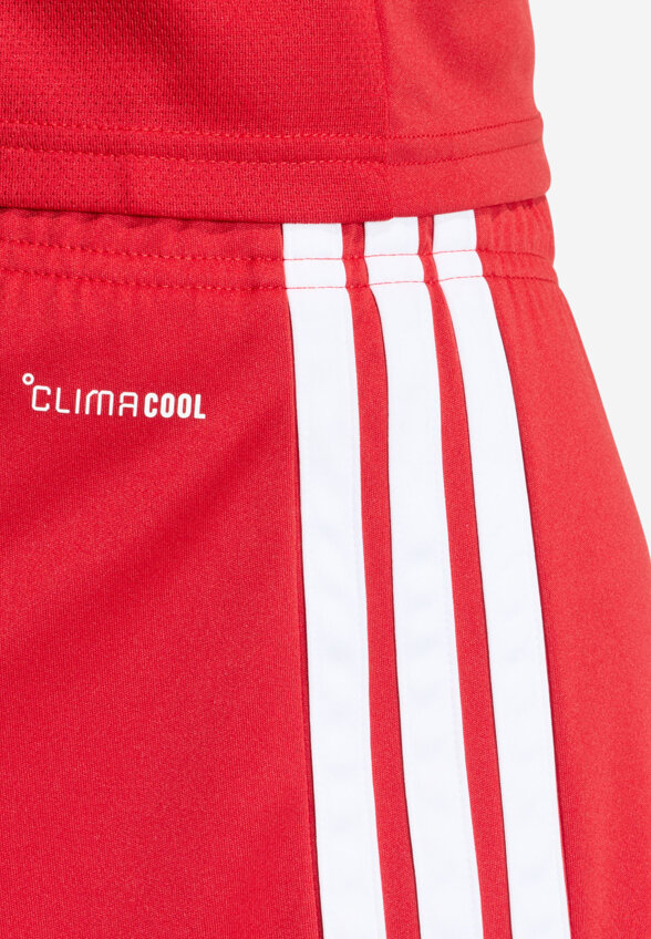 Шорты мужские Adidas Tiro26, Красный
