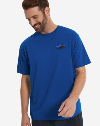 Футболка мужская Patagonia Skyline Organic, Синий женщинам