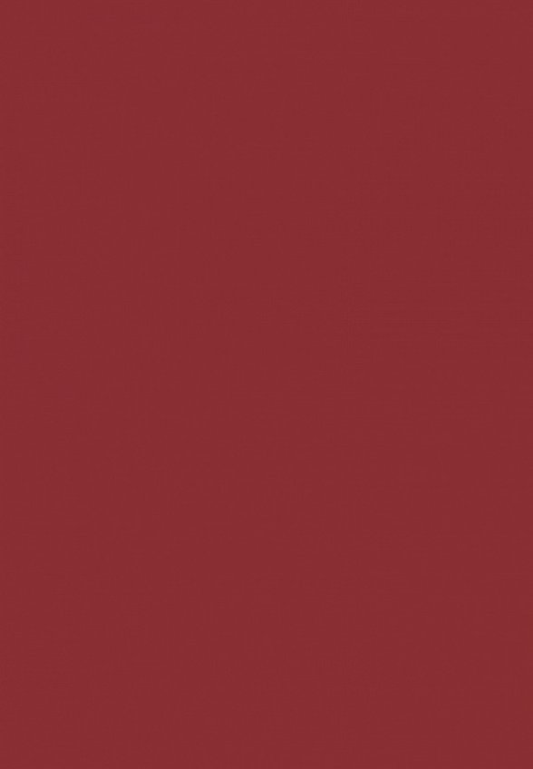 Помада Revolution