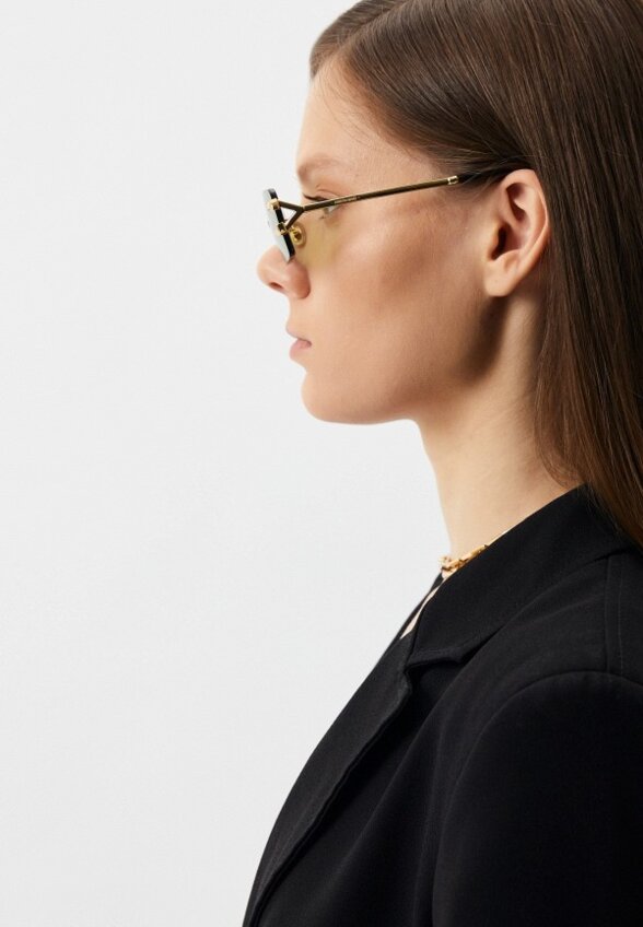 Очки солнцезащитные Roberto Cavalli