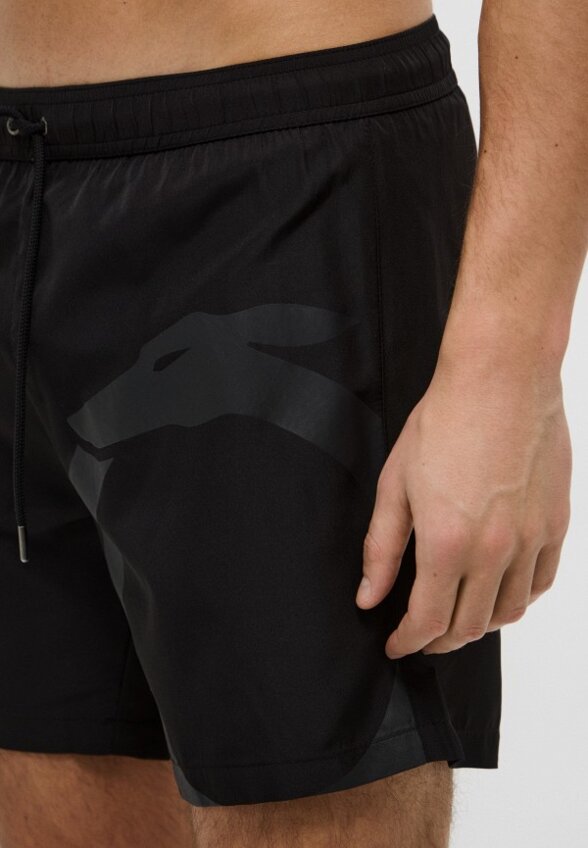 Шорты для плавания Trussardi