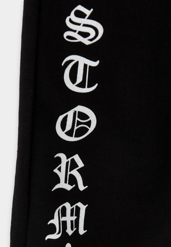 Брюки спортивные Stormies