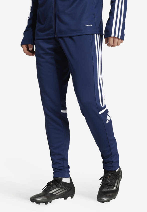 Брюки мужские adidas, Синий