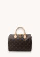 Louis Vuitton Speedy1  - превью