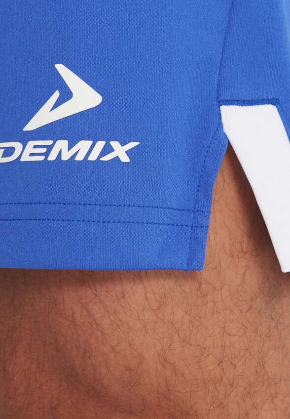 Шорты мужские Demix, Синий