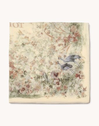 Dior Scarf женщинам