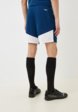 Шорты спортивные Demix3  - превью