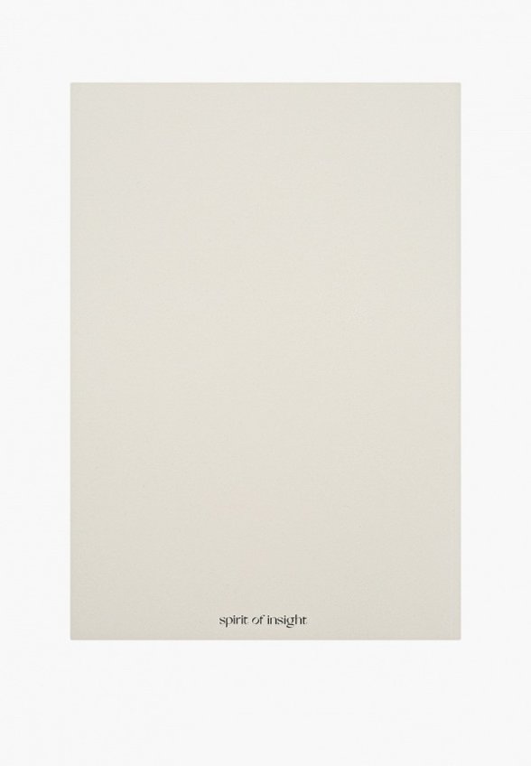 Дневник Spirit of Insight