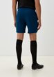 Шорты спортивные Demix3  - превью