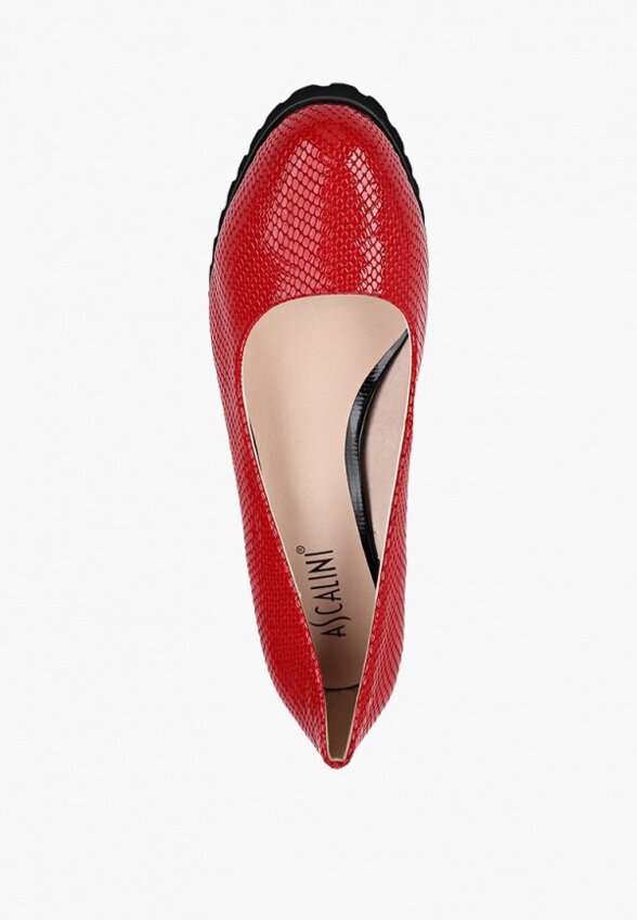 Туфли Ascalini