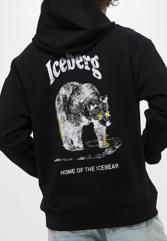 Худи Iceberg