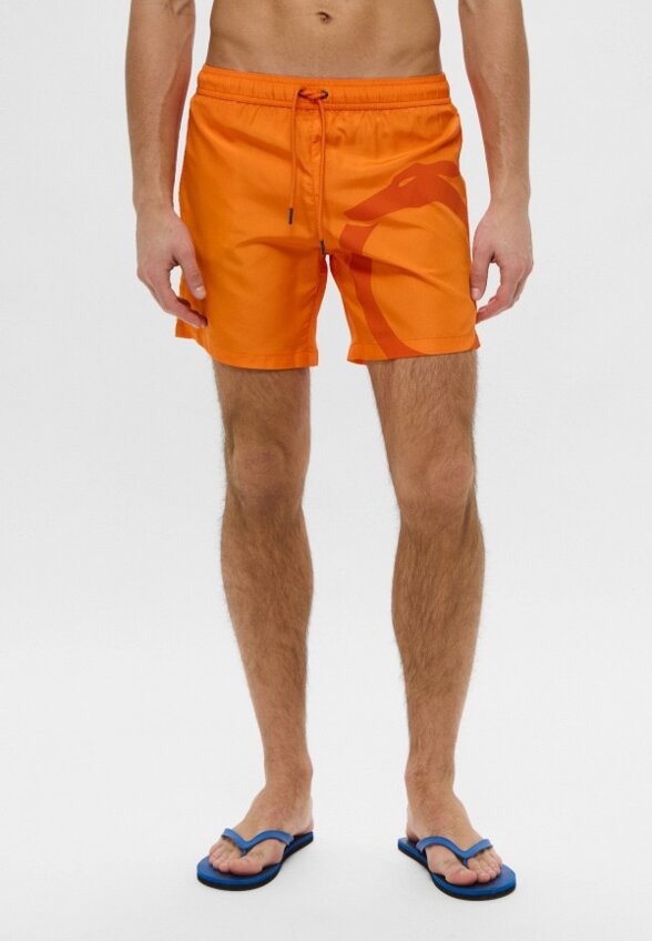 Шорты для плавания Trussardi