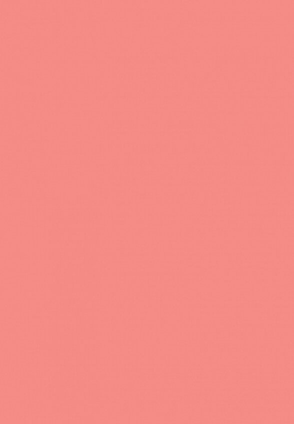 Помада-бальзам Russian Beauty Guru