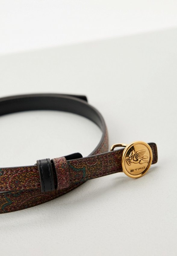 Ремень Etro